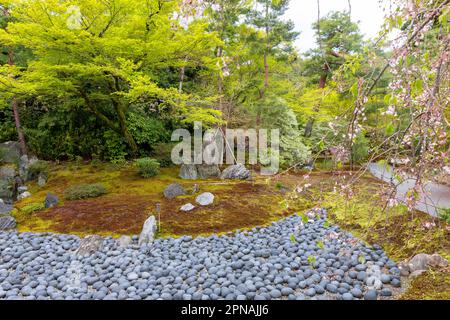 Hogon-in-Subtempelgarten, trockener Teichgarten, der ein Meer des Leidens darstellt, mit buddha und zwei Jüngerfelsen, Kyoto, Japan, 2023 Stockfoto