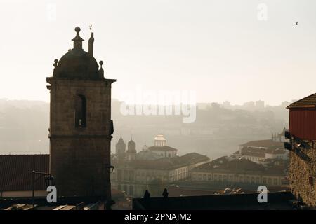 Igreja dos Grilos Kirche St. Lawrence - Porto, Portugal - september 2022. Hochwertiges Foto Stockfoto