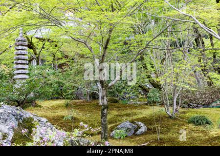 April 2023 Kyoto Tokyo Sogenchi berühmte Gärten im Tenryu-Ji Tempel in Arashiyama entworfen von Muso Soseki, UNESCO-Weltkulturerbe Japan Stockfoto