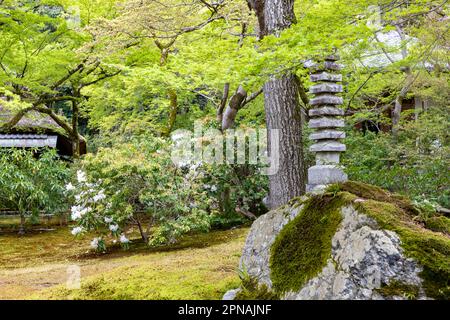 April 2023 Kyoto Tokyo Sogenchi berühmte Gärten im Tenryu-Ji Tempel in Arashiyama entworfen von Muso Soseki, UNESCO-Weltkulturerbe Japan Stockfoto