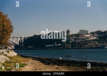 PORTO, PORTUGAL - März 2022 Park Jardim do Sobreiras in Porto. Hochwertiges Foto Stockfoto