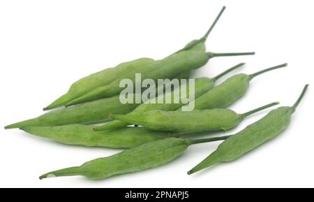 Grüne Senfbohnen auf weißem Hintergrund Stockfoto
