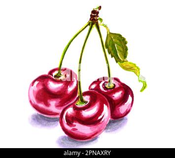 Drei rote Kirschen auf Zweigen mit einem Blatt. Botanische JPEG-Darstellung von Früchten für Aufkleber, Erstellen von Mustern, Tapeten, Geschenkpapier, Postkarten, Stockfoto