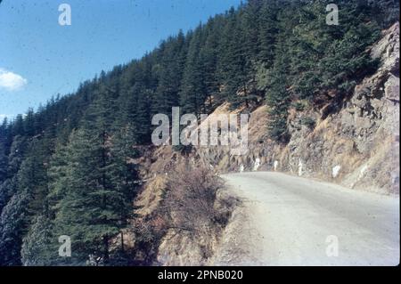 Shimla ist die Hauptstadt des nordindischen Bundesstaates Himachal Pradesh in den Ausläufern des Himalaya. Die Hauptstadt des Bundesstaates Himachal Pradesh war einst die Sommerhauptstadt von Britisch-Indien und wurde von Zedern-, Rhododendron-, Tannen- und Himalaya-Eichen umschlossen. Shimla ist eine malerische Bergstadt auf einer Höhe von 2205 Metern. Stockfoto