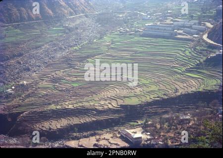 Das Gelände in Dalhousie ist hügelig. An den Hängen muss der Terrassenanbau verwendet werden. Äpfel wachsen weit. Himachal Pradesh ist als Apple State berühmt. Stockfoto