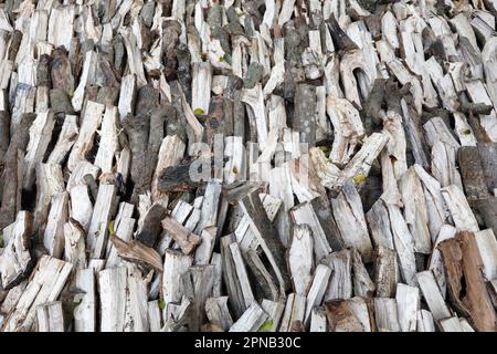 Geteiltes, getrocknetes und gestapeltes Brennholz, Vorderansicht. Verwittertes, trockenes Holz, eine Energiequelle. Chau Doc. Vietnam. Stockfoto