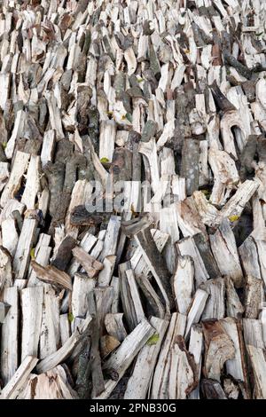 Geteiltes, getrocknetes und gestapeltes Brennholz, Vorderansicht. Verwittertes, trockenes Holz, eine Energiequelle. Chau Doc. Vietnam. Stockfoto