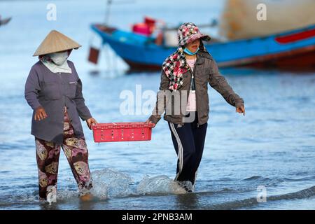 Hang Dua Bay, Fischerboote. Frauen, die Fischfang sortieren. Vung Tau. Vietnam. Stockfoto