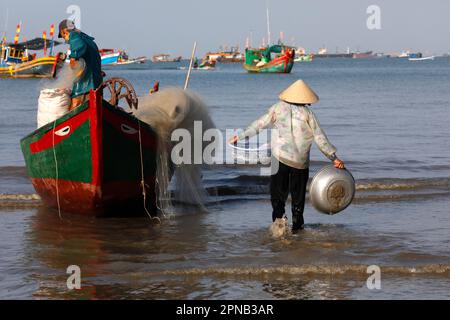 Hang Dua Bay, Fischerboote. Eine Frau, die Fischfang sortiert. Vung Tau. Vietnam. Stockfoto