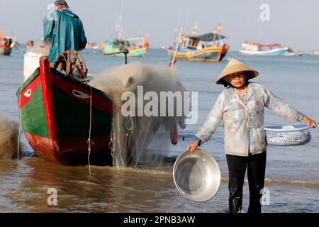 Hang Dua Bay, Fischerboote. Eine Frau, die Fischfang sortiert. Vung Tau. Vietnam. Stockfoto