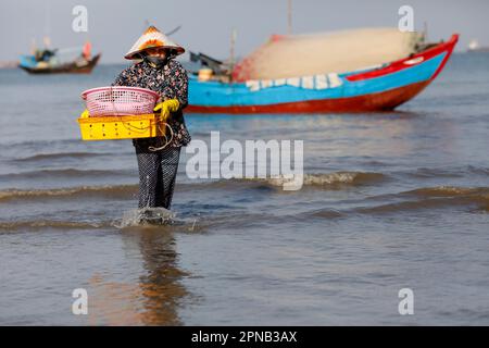 Hang Dua Bay, Fischerboote. Eine Frau, die Fischfang sortiert. Vung Tau. Vietnam. Stockfoto