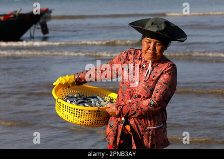 Hang Dua Bay, Fischerboote. Eine Frau, die Fischfang sortiert. Vung Tau. Vietnam. Stockfoto