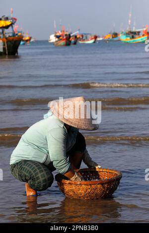 Hang Dua Bay, Fischerboote. Eine Frau, die Fischfang sortiert. Vung Tau. Vietnam. Stockfoto