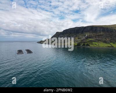 Lachszucht Aquakultur. Drohnenansicht von Fischzuchtkäfigen vor der Küste von Antrim in Nordirland Stockfoto