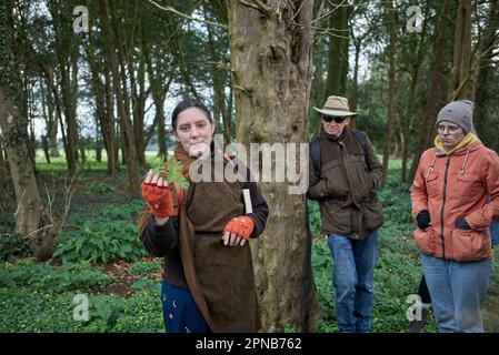 Der Futterlehrer aus WildUK, Kerry Woodfield, hält einen Futterkurs auf dem Gelände des Charlton Park Estate, Wiltshire, mit giftigem Hemlock. Stockfoto