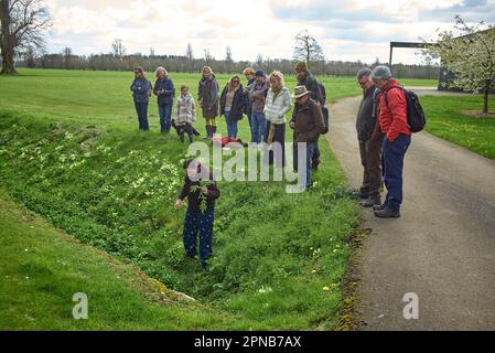 Der Futterlehrer von WildUK, Kerry Woodfield, hält einen Futterkurs auf dem Gelände des Charlton Park Estate, Wiltshire, Großbritannien. Wilde Brunnenkresse Stockfoto