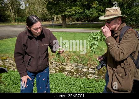 Der Futterlehrer von WildUK, Kerry Woodfield, hält einen Futterkurs auf dem Gelände des Charlton Park Estate, Wiltshire, Großbritannien. Wilde Brunnenkresse Stockfoto