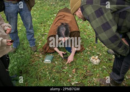 Der Futterlehrer von WildUK, Kerry Woodfield, hält einen Futterkurs auf dem Gelände des Charlton Park Estate, Wiltshire, Großbritannien - St. Georges Pilze. Stockfoto