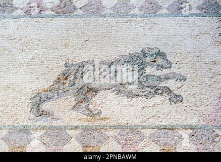 Jagdszene, Detail eines Bären, Haus des Dionysos, Paphos, Zypern (Mosaik) Stockfoto