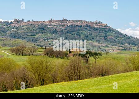 Panoramablick auf Montalcino und Umgebung, Provinz Siena, Italien Stockfoto