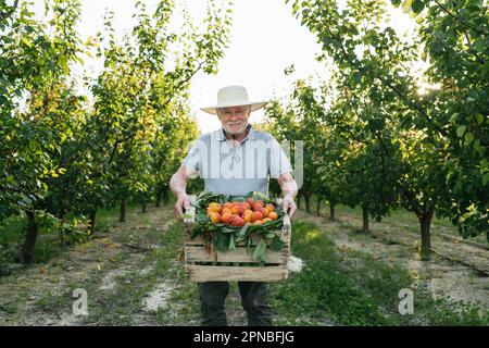 Entzückter männlicher Bauer in lässiger Kleidung und Strohhut, der lächelt und in die Kamera schaut, während er eine Holzkiste mit reifem, frischem organischem AP vorführt Stockfoto