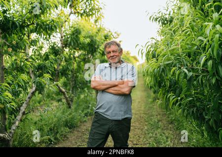 Optimistischer älterer bärtiger männlicher Bauer in lässiger Kleidung, der lächelt und in die Kamera schaut, während er inmitten üppiger grüner Pflanzen mit gekreuzten Armen auf dem Pat steht Stockfoto