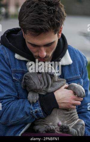 Ein Mann, der nach unten schaut und den niedlichen Shar Pei Hund mit Falten umarmt Stockfoto