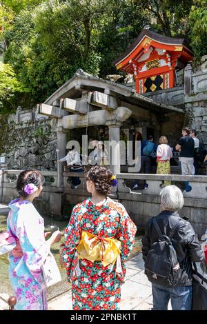 April 2023, Kiyomizu-dera-Tempel in Kyoto, japanische Frauen in traditionellen Kimono-Kleidern beobachten Menschen, die aus dem Otowa-Wasserfall trinken, als Glücksbringer, Japan Stockfoto