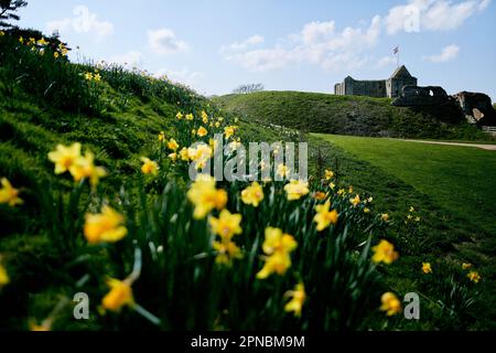 Burg Rising Castle im Frühling Stockfoto