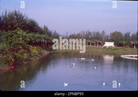 Kodaikanal ist eine Bergstadt im südindischen Bundesstaat Tamil Nadu. Es liegt in einem Gebiet mit Granitklippen, bewaldeten Tälern, Seen, Wasserfällen und grasbedeckten Hügeln. Die Stadt liegt 2.000 Meter über dem Meeresspiegel und umringt den von Menschenhand geschaffenen, sternförmigen Kodaikanal Lake, der von immergrünen Wäldern umgeben ist. Ruderboote können gemietet werden, und Wanderer und Radfahrer folgen dem 5k Lake Road Pfad am Ufer. Stockfoto