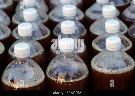 Die Landwirtschaftsmesse (Comice Agricole) von Saint-Gervais Mont-Blanc. Apfelsaft machen. Saint-Gervais. Frankreich. Stockfoto