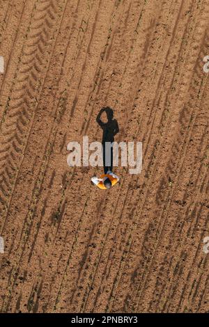 Luftaufnahme einer Farmerin, die auf dem Maiskeimfeld steht und Feldfrüchte untersucht. Landarbeiter mit Truckerhut und Jeans auf Plantage von Drohne p Stockfoto