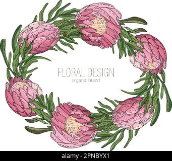 Handgezeichneter Blumenrahmen mit Blumen, König Protea, Ast und Blättern. Elegante Logo-Vorlage. Stock Vektor