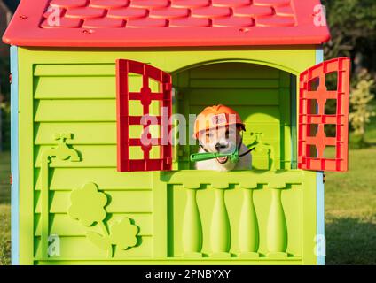 Lustiges Landhausinstandhaltungskonzept mit Hund im Schutzhelm Kinderspielhaus reparieren Stockfoto