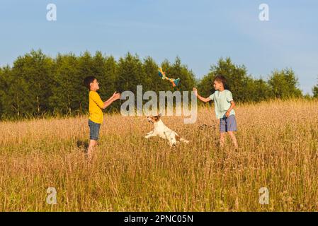 Kinder, die mit dem Haustier der Familie im Freien auf der Wiese am Sommertag spielen Stockfoto