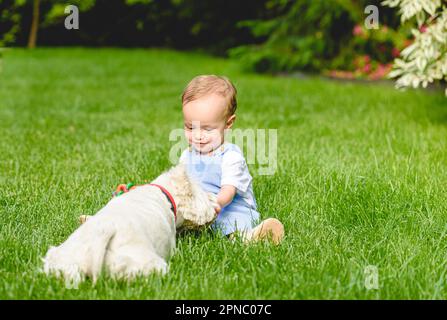 Das kleine Mädchen schenkt ihrem Hundewelpen eine Belohnung. Liebe und Freundschaft zwischen Kind und Haustier Stockfoto