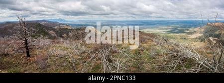 Mesa Verde-Nationalpark in Colorado Stockfoto