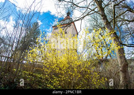 Historischer Turm auf der Spitze der Altstadt von Biberach an der Riss - deutschland Stockfoto