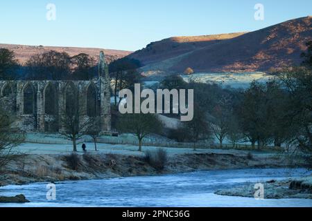 Bolton Abbey (wunderschöne historische mittelalterliche Ruine am Flussufer, Sonnenlicht auf Moorland und Hügeln, frostiger Wintertag) - Wharfedale Yorkshire Dales, England, Großbritannien. Stockfoto