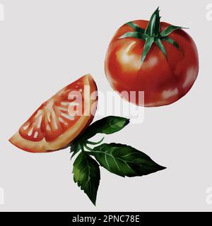 Rote reife, realistische Tomaten- und Tomatenscheiben. Handgezeichnete Aquarell-Vektordarstellung, isoliert auf weißem Hintergrund. Frische Bio-Lebensmittel. Stock Vektor