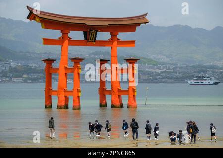 Hatsukaichi, Japan - 17. April 2023: Schwimmende Torii im Itsukushima-Schrein auf der Insel Itsukushima, Präfektur Hiroshima, Japan. Stockfoto