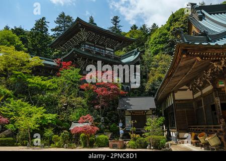 Hatsukaichi, Japan - 17. April 2023: Der Daisho-in-Tempel ist ein buddhistischer Tempel auf der Insel Miyajima, Präfektur Hiroshima, Japan. Stockfoto