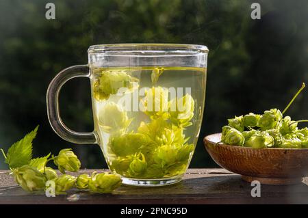 Kräutertee-Getränk aus Humulus lupulus, dem Hopfen oder Hopfen. Hopfenblumen mit Teetasse auf weißem Holz Hintergrund, innen zu Hause. Stockfoto