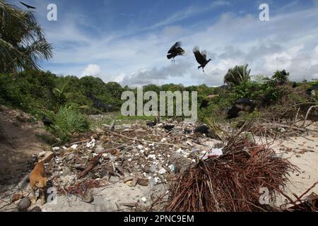 Marajo Island, Brasilien. 17. April 2023. Eine allgemeine Ansicht zeigt eine große Menge Müll während Ebbe am Strand Vila do Pesqueiro am 17. April 2023 in Soure, Marajó Insel Amazonas Region nördlich von Brasilien. Die Insel Marajó ist mit einer Fläche von etwa 40,100 km² die größte Meeresinsel der Welt, die sich im para State in der Mündung des Amazonas befindet. (Foto: Paulo Amorim/Sipa USA) Guthaben: SIPA USA/Alamy Live News Stockfoto