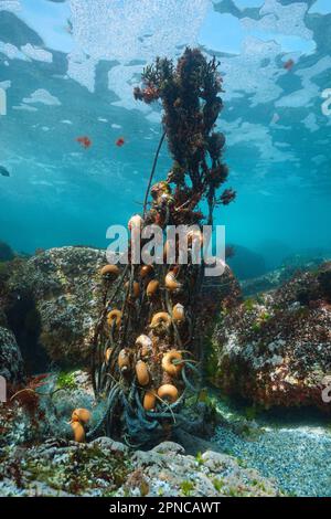 Verlorenes Fischernetz mit Bojen unter Wasser im Atlantik, verwickelt in den Felsen auf dem Meeresboden, Spanien, Galicien Stockfoto