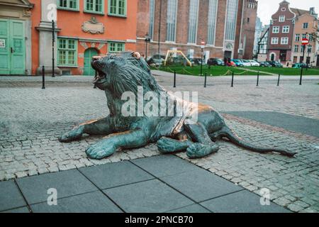 Danzig, Polen - 11. November 2022: Statuen von Bronzelöwen in der Altstadt von Danzig als Symbol der Stadt, Polen Stockfoto