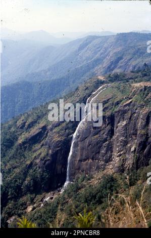 Munnar ist eine Stadt im westlichen Ghats-Gebirge im indischen Bundesstaat Kerala. Eine Bergstation und ehemaliges Resort der britischen Raj Elite, ist von sanften Hügeln umgeben, die mit Teeplantagen aus dem späten 19. Jahrhundert übersät sind. Der Eravikulam-Nationalpark, ein Lebensraum für die vom Aussterben bedrohte Bergziege Nilgiri tahr, beherbergt die Lakkam Wasserfälle, Wanderwege und den 2.695m m hohen Anamudi Peak. Stockfoto