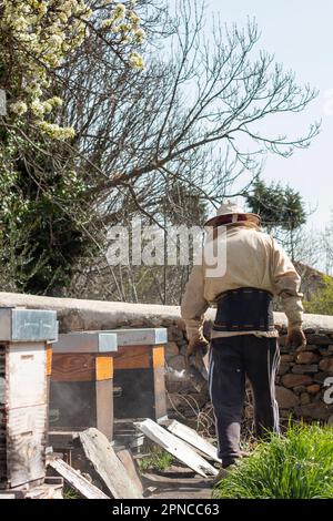 Bienenzucht-Raucher. Der Imker zündet ihn mit verschiedenen Brennstoffen an und gibt den Rauch in den Bienenstöcken aus Stockfoto