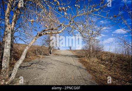 Nose Hill Park Calgary Alberta Stockfoto