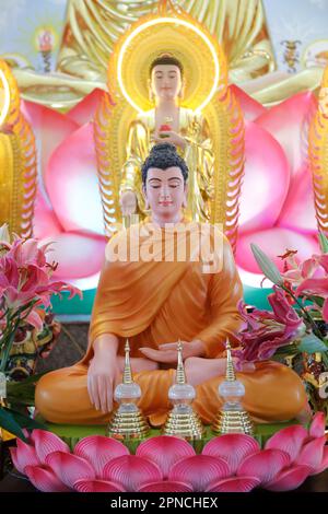 Phu Sohn TU buddhistischer Tempel. Hauptaltar. Shakyamuni-Buddha-Statue. Tan Chau. Vietnam. Stockfoto